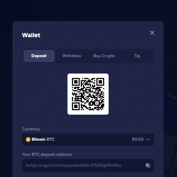 Duel crypto wallet deposit